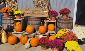 September Apple Harvest Festival