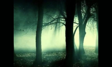 Paranormal Night at Avenel