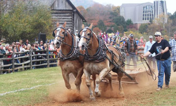 Blue Ridge Folklife Festival