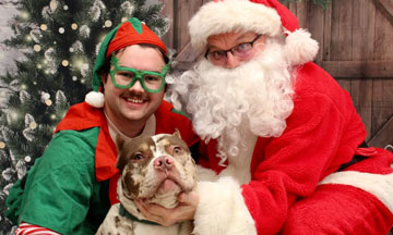 Happy Pawlidays