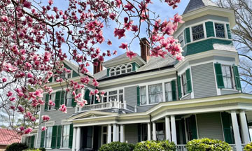 Avoca's Spring Blossom Festival